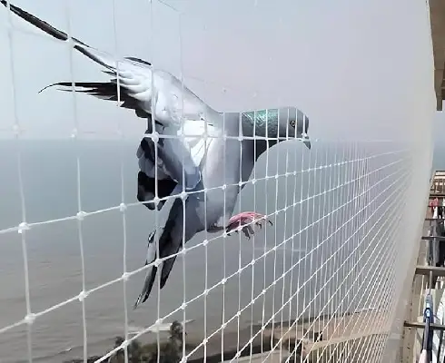 Ground net installed at construction site