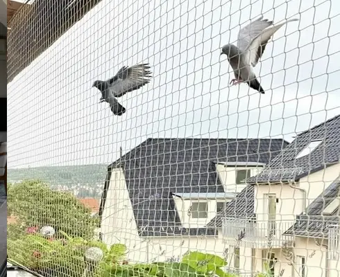 Bird net installation to stop pigeons